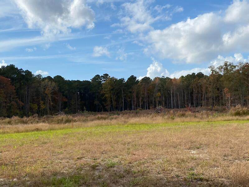 0 Magwood Bryant Road - Photo 1