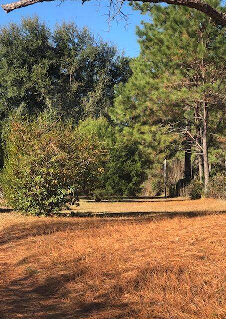 1711 Orangeburg Road - Photo 1