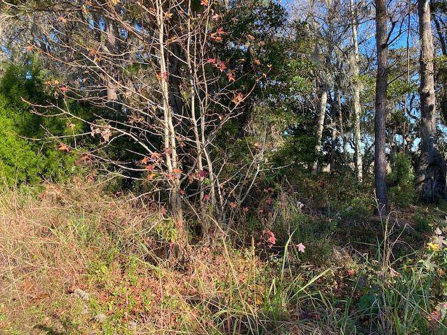 03 Old Gilliard Road - Photo 1