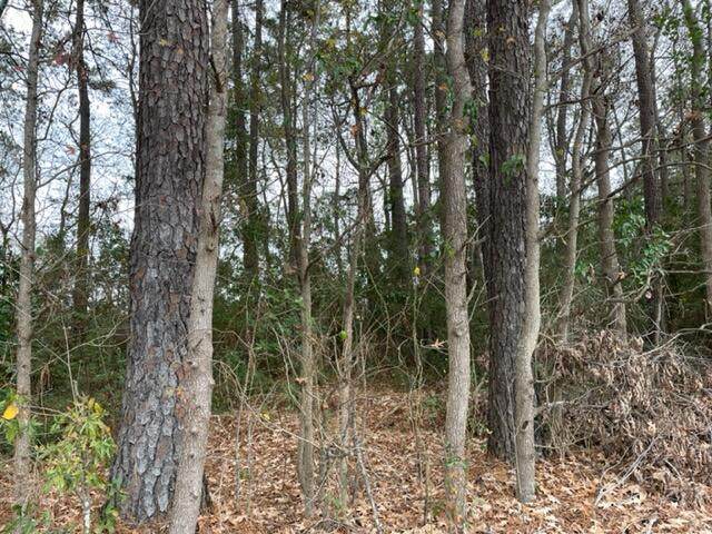 Lot 26 Dennis Drive - Photo 1