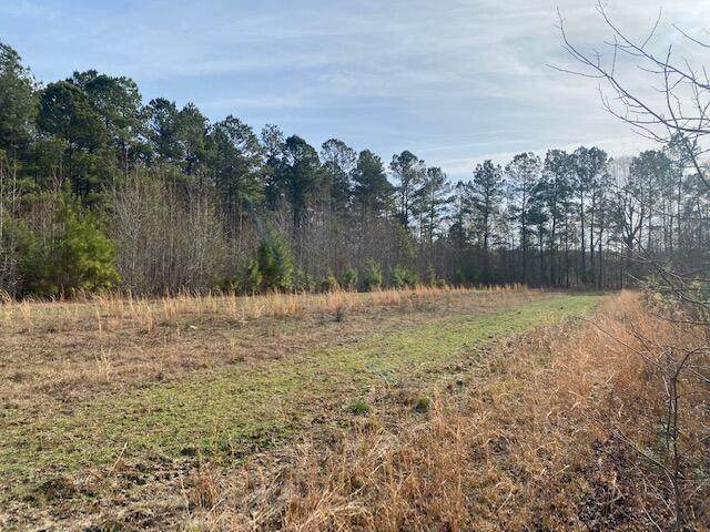 0 Mulberry Road - Photo 1