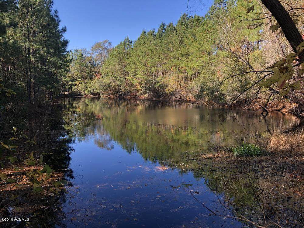 16482 Hendersonville Highway - Photo 1