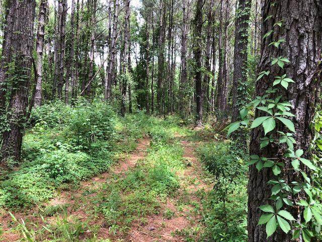 0 Boy Scout Road - Photo 1