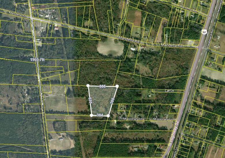 Lot C Dennis Ridge Road - Photo 1