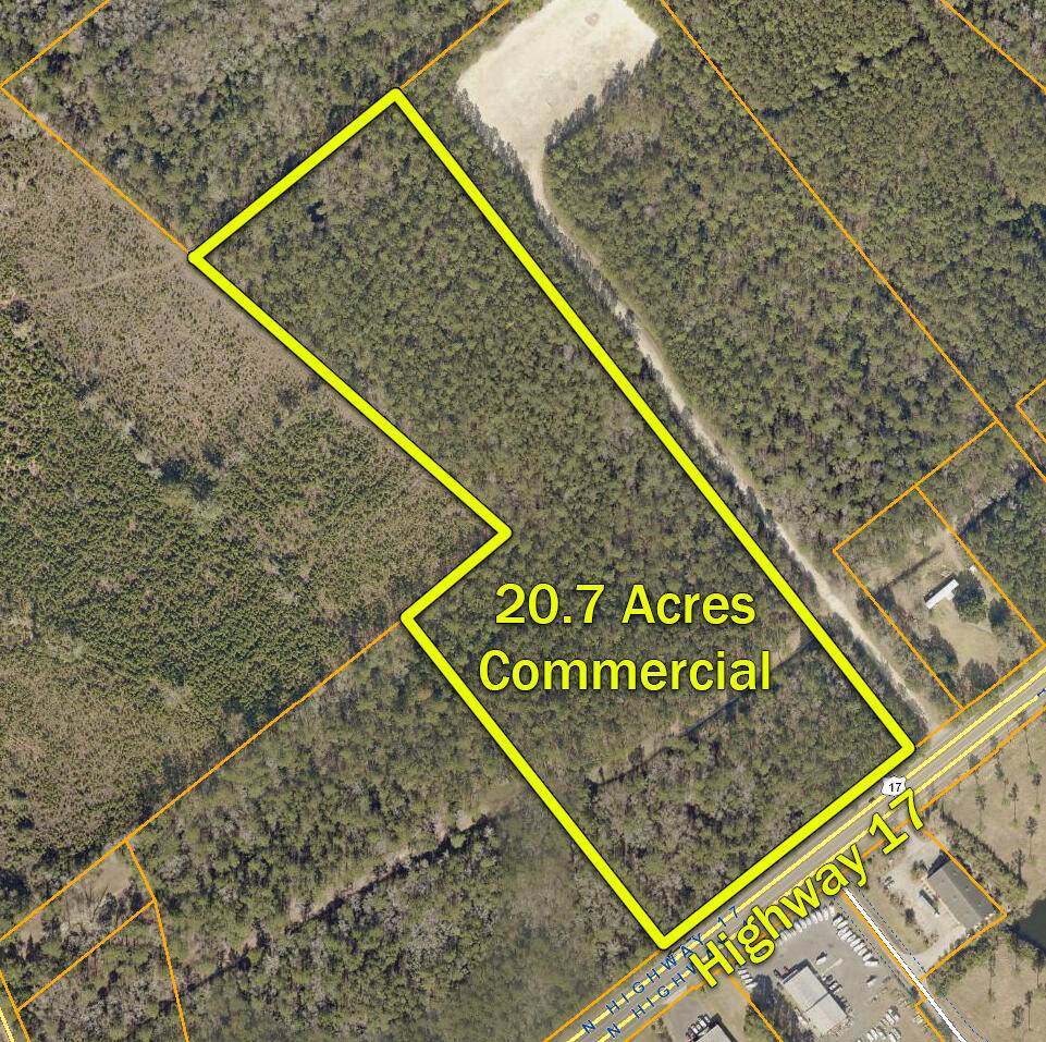 10150 Highway 17 - Photo 1