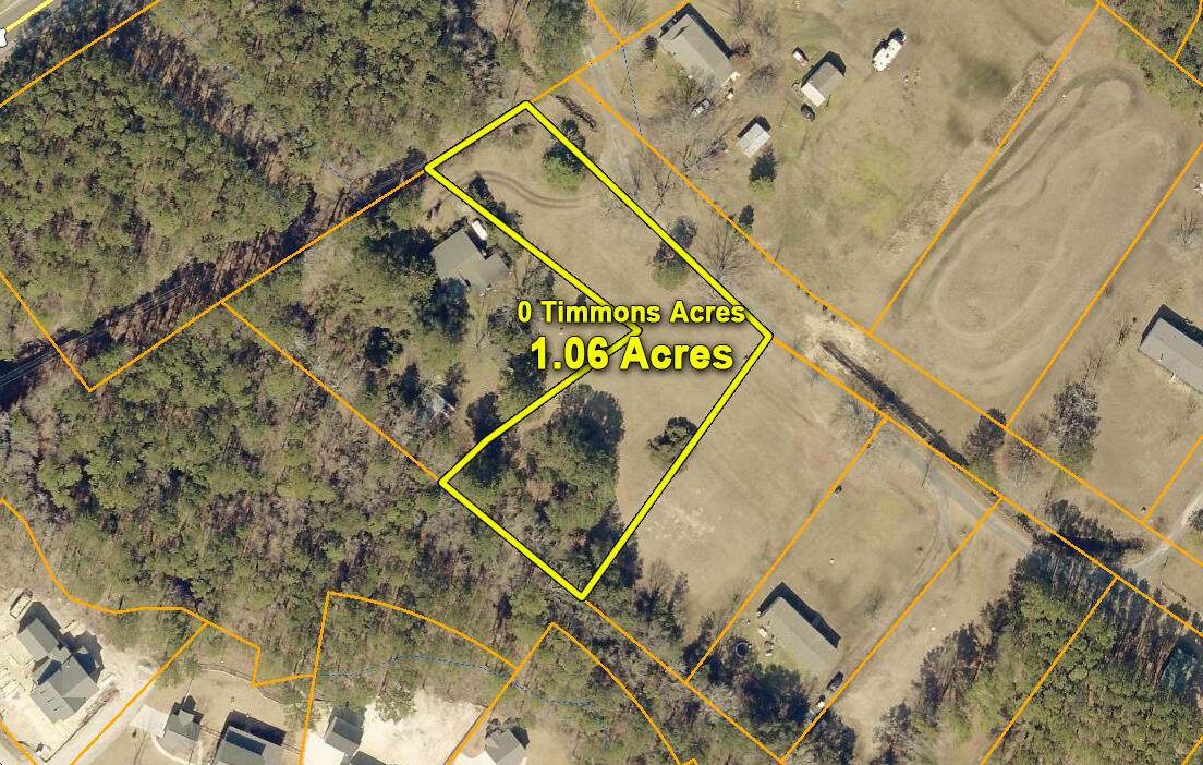 0 Timmons Acres Lane - Photo 1