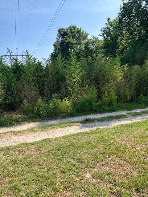 00 Mullinax Lane - Photo 1