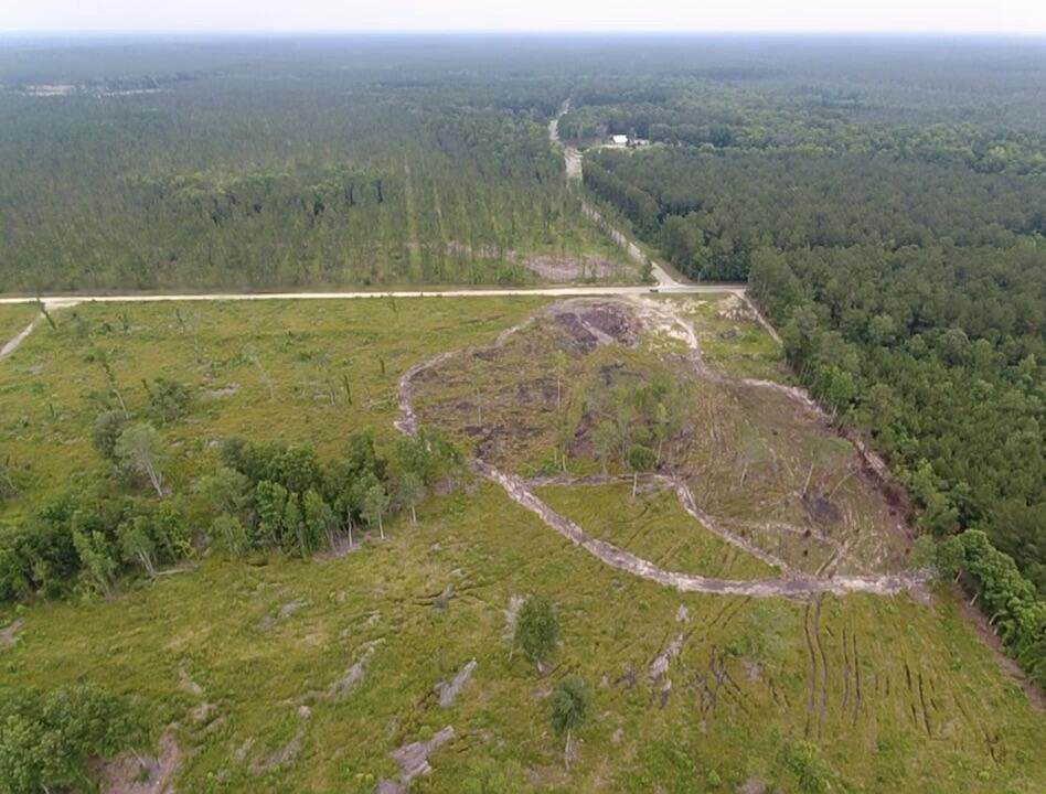 1100 Old Beech Hill Road - Photo 1
