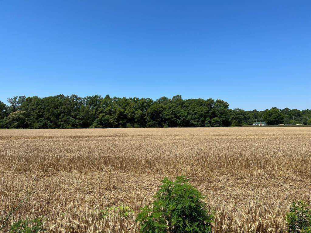 1140 Bill Davis Road - Photo 1