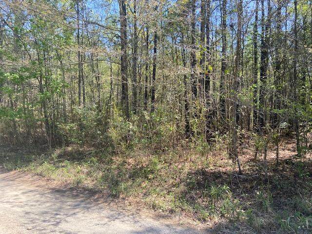 0 Carson Hill Lane - Photo 1