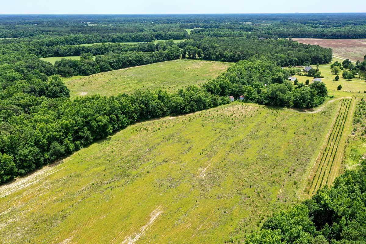 4045 Bloomville Road - Photo 1