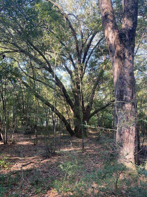 2293 Hwy 174 Highway - Photo 1