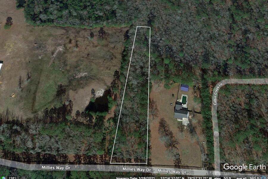 1042 Millies Way Drive - Photo 1