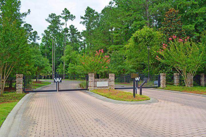 1205 Red Buckeye Court - Photo 1