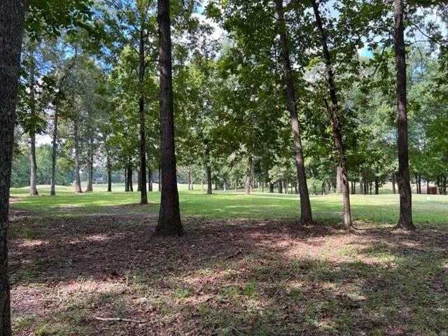 44 Ridge Lake(Lot B-34) Drive - Photo 1