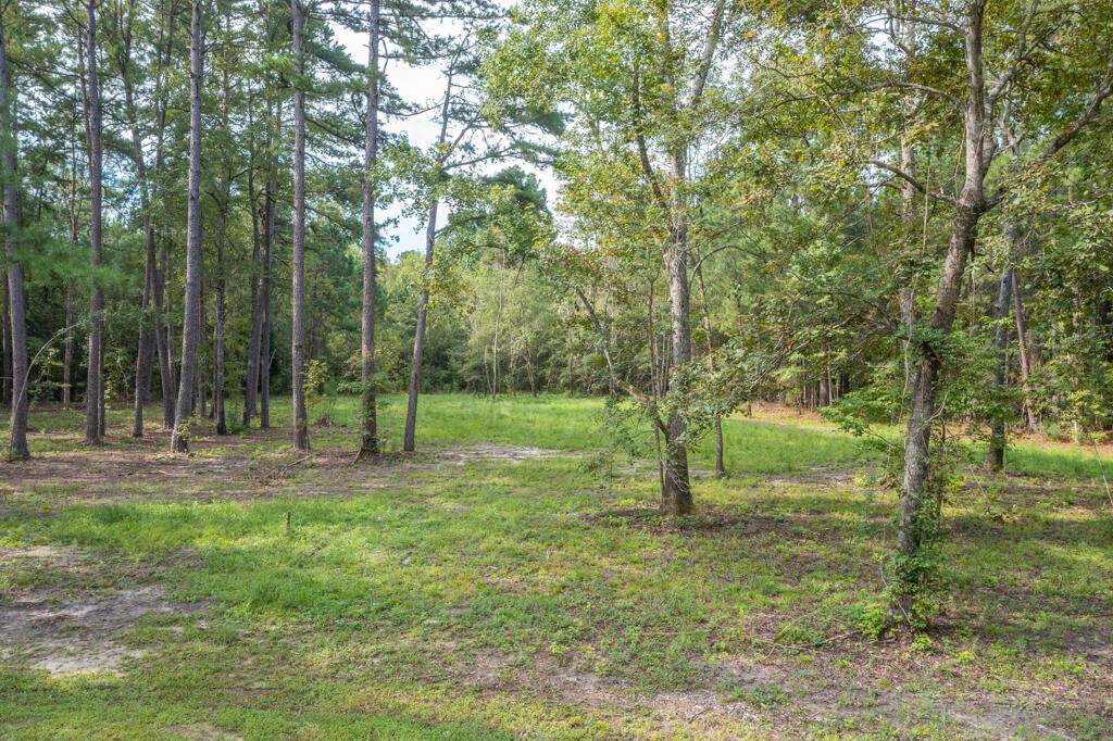 0 Hickory Nut Way - Photo 1