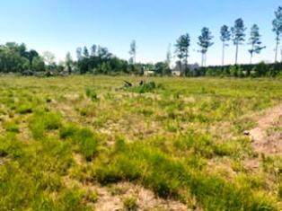 00 Calamus Pond Road - Photo 1