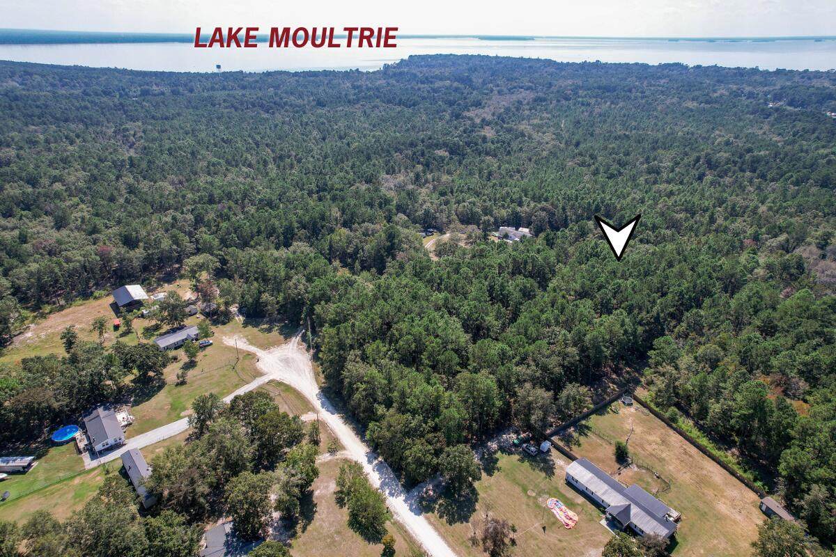 115 Smith Island Trail - Photo 1