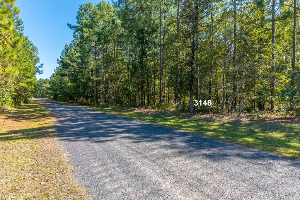 0 Hickory Oaks Lane - Photo 1