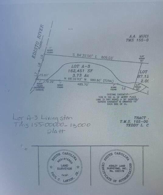 149 Merry Place - Photo 1