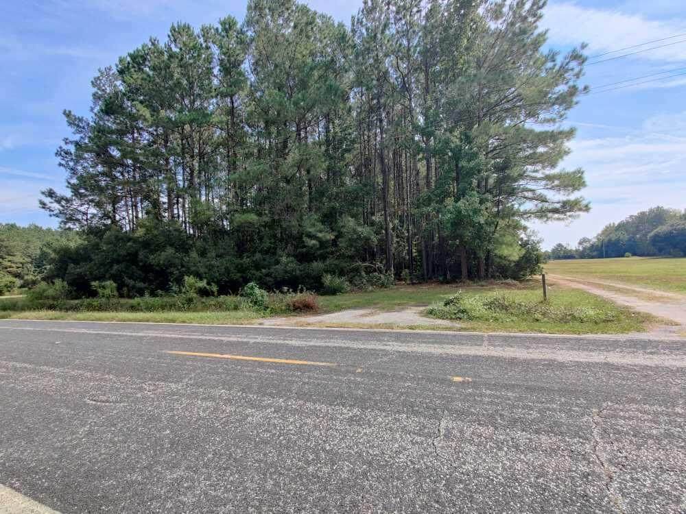 000 June Burn Road - Photo 1