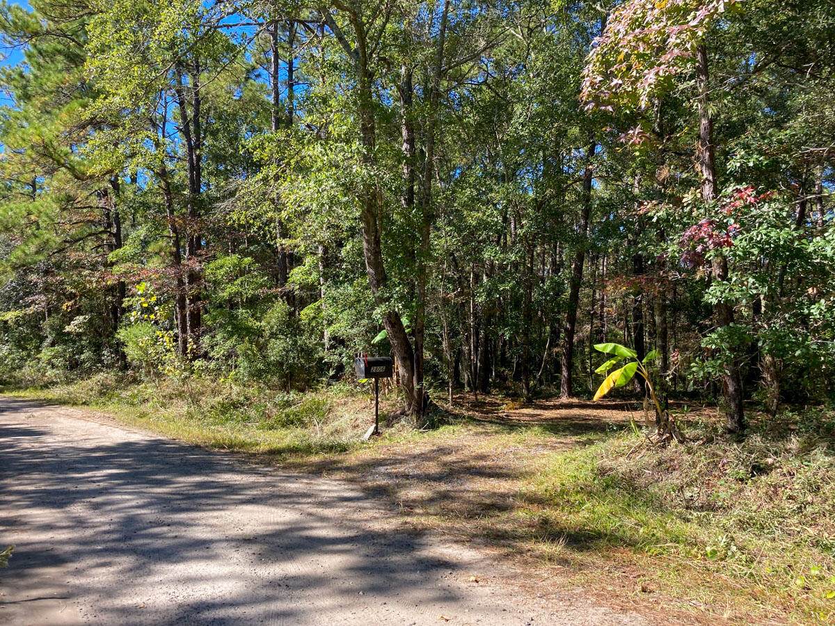 2806 Evans Way - Photo 1