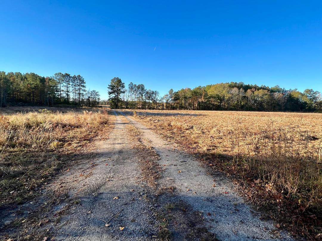 168 Country Downs Lane - Photo 1