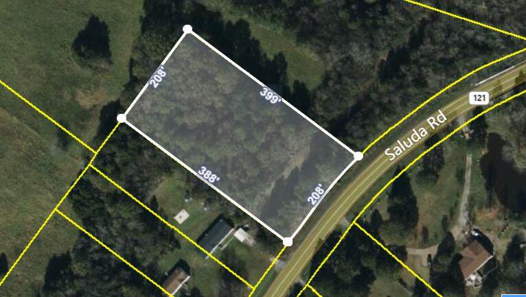 3764 Saluda Road - Photo 1