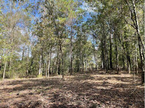 10 Hwy 27 - Photo 1