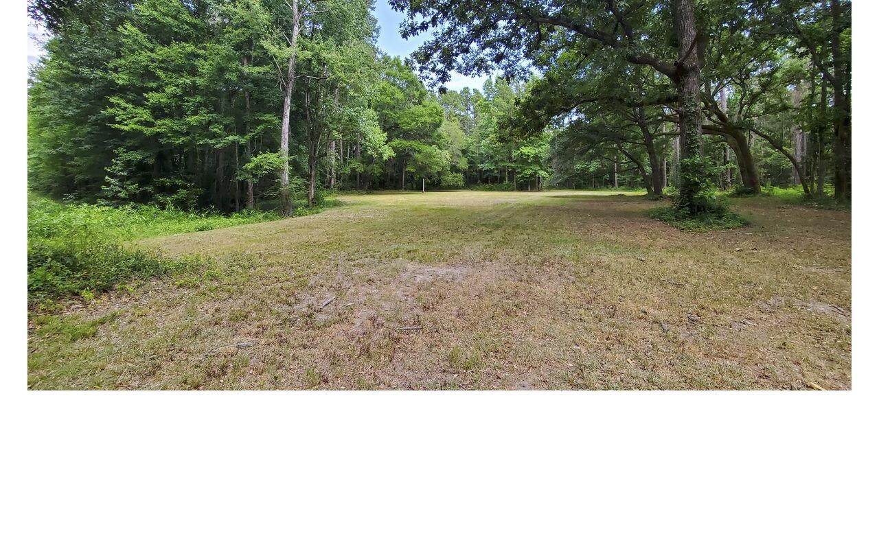 10041 Hwy 17 - Photo 1