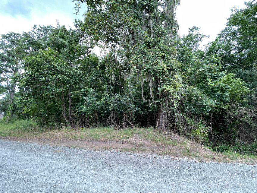 0 Old Mt. Holly Road - Photo 1