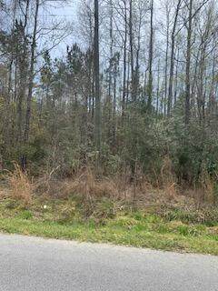 0 Johnsonville Road - Photo 1