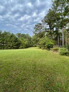 1711 Orangeburg Road - Photo 1