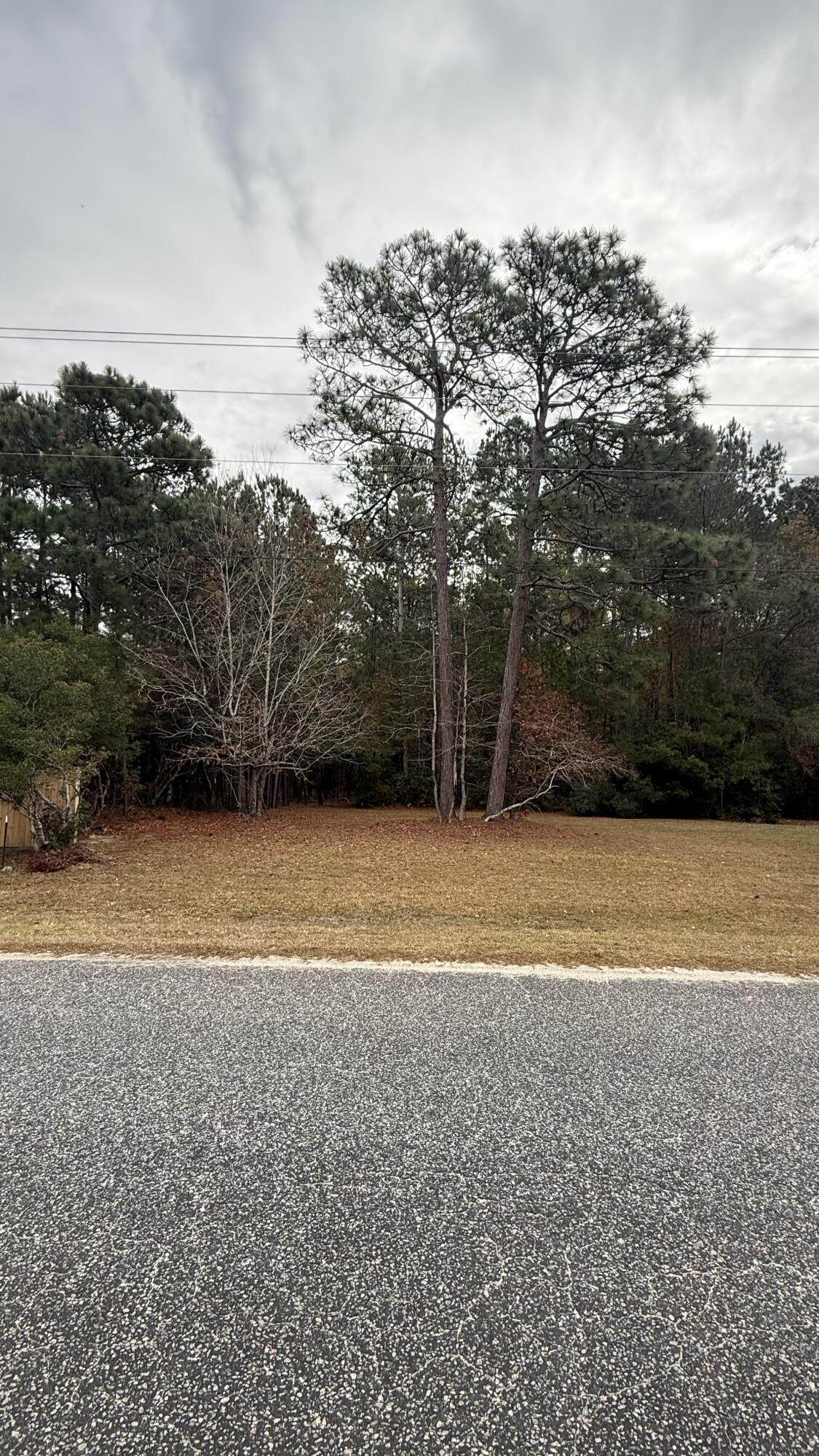 502 Pauline Drive - Photo 1