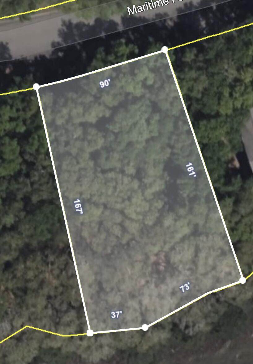 3022 Maritime Forest Drive - Photo 1