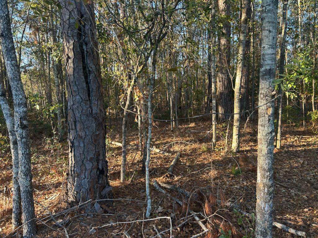 5860 Martin Street - Photo 1