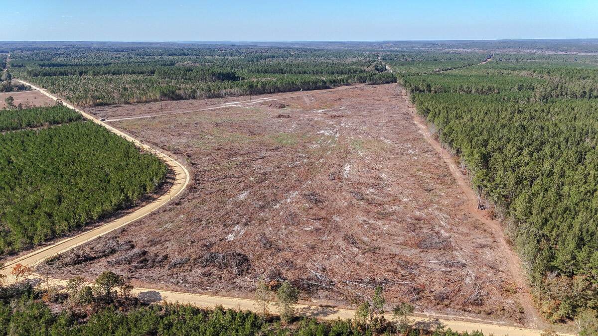 0 Chrisland - Photo 1