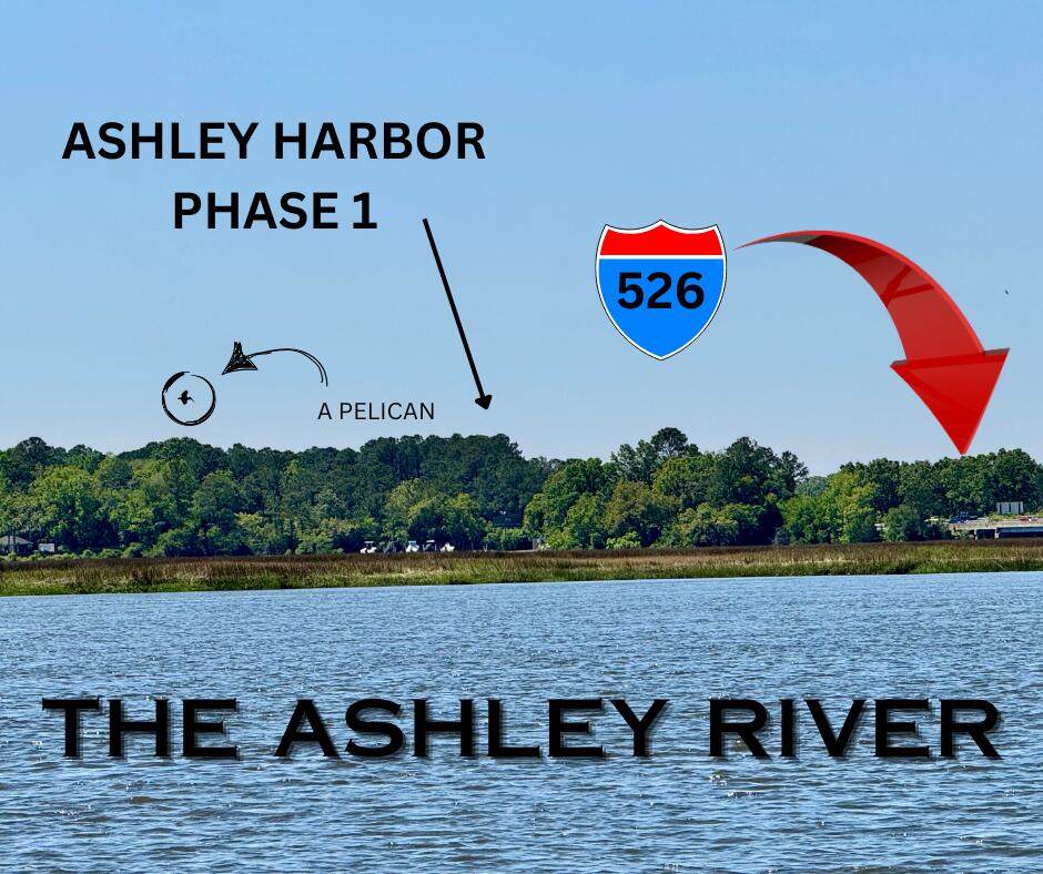 195 Ashley Hall Plantation Road - Photo 1