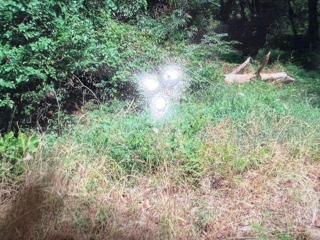 0 Plantation Estates Lane - Photo 1