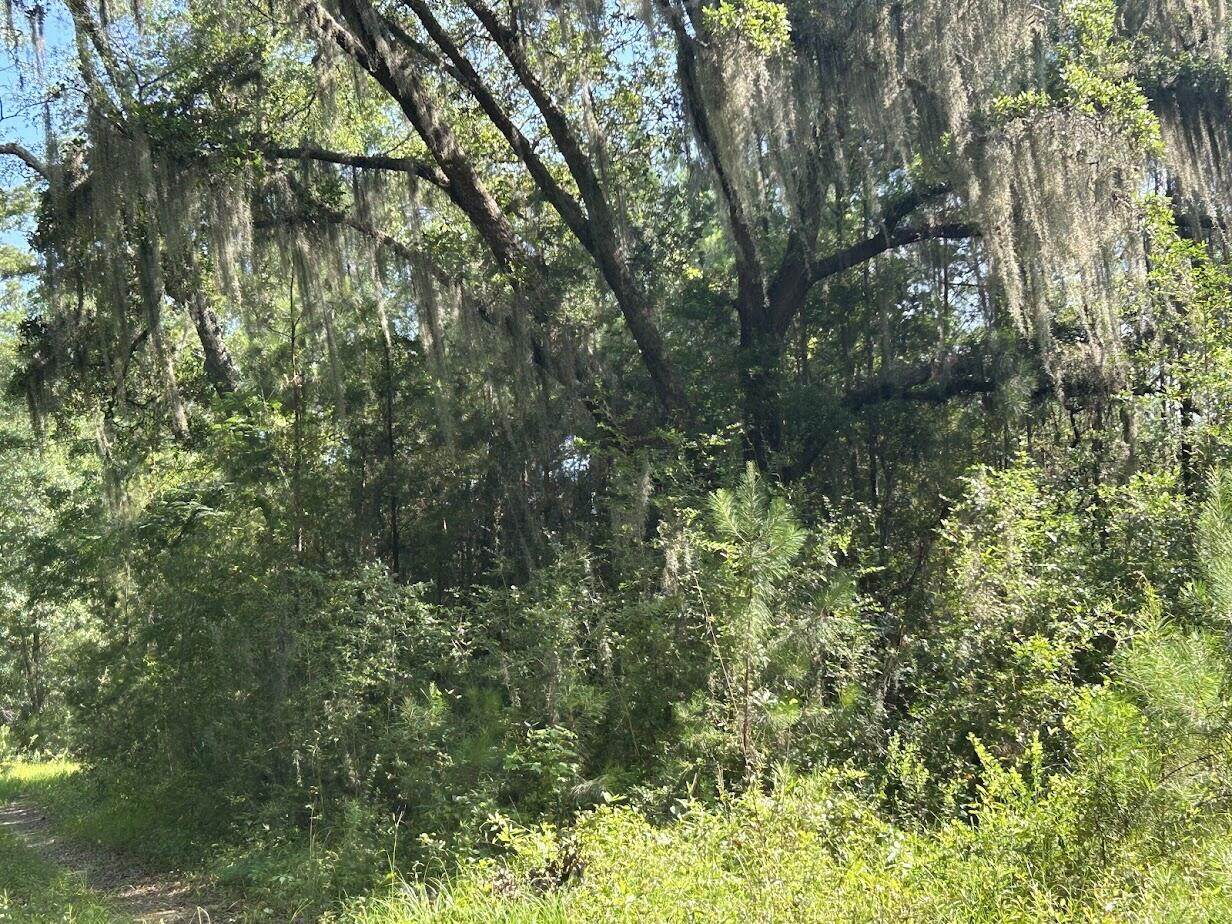 https://bt-photos.global.ssl.fastly.net/charleston/orig_boomver_1_25018771-2.jpg