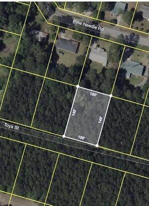 141 Toya Street - Photo 1