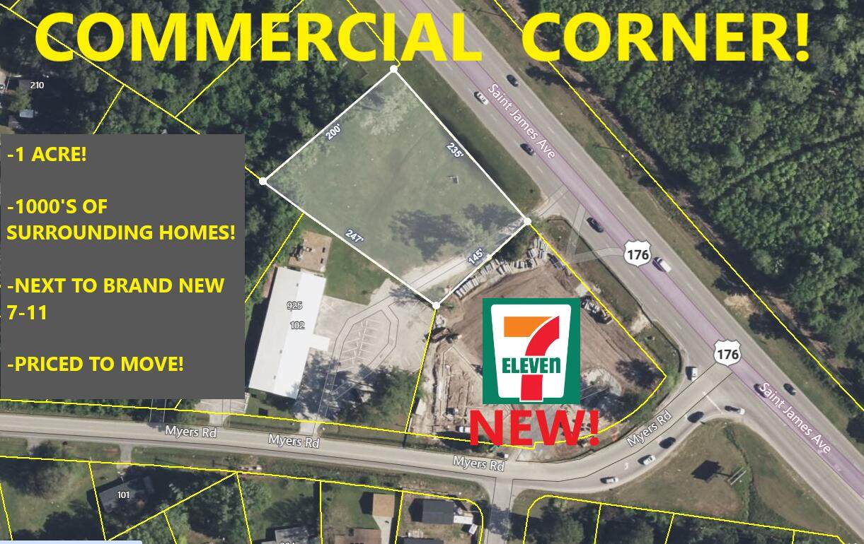 925 St James (Hwy 176) Avenue - Photo 1