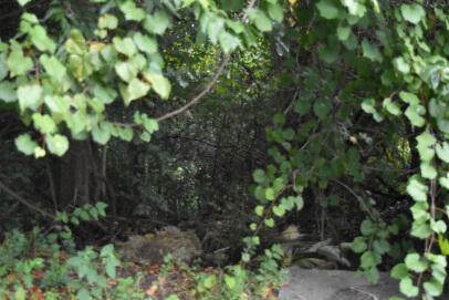 0 Irick Street - Photo 1