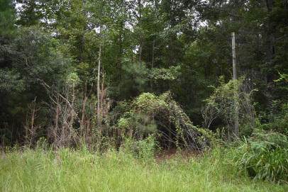 https://bt-photos.global.ssl.fastly.net/charleston/orig_boomver_1_25024688-2.jpg