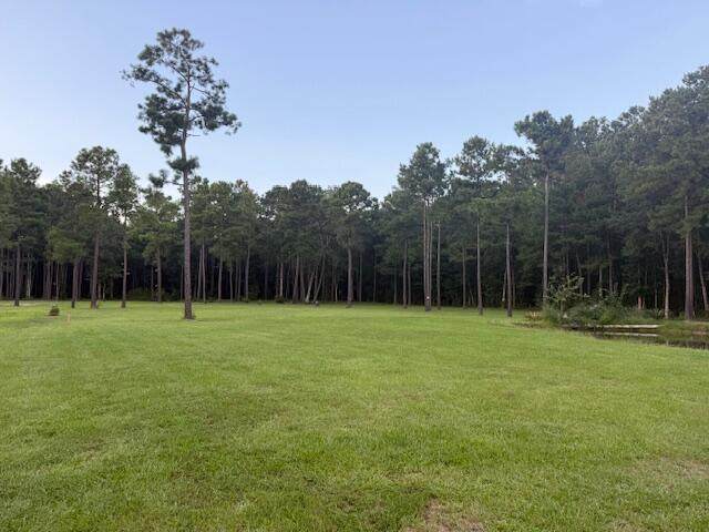 00 Myers Mayo Lot 4 Road - Photo 1