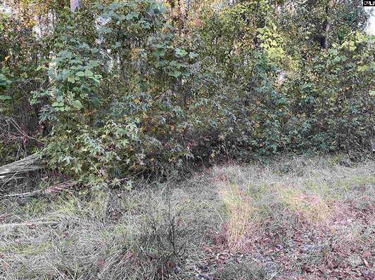 3551 Moonlight Road - Photo 1