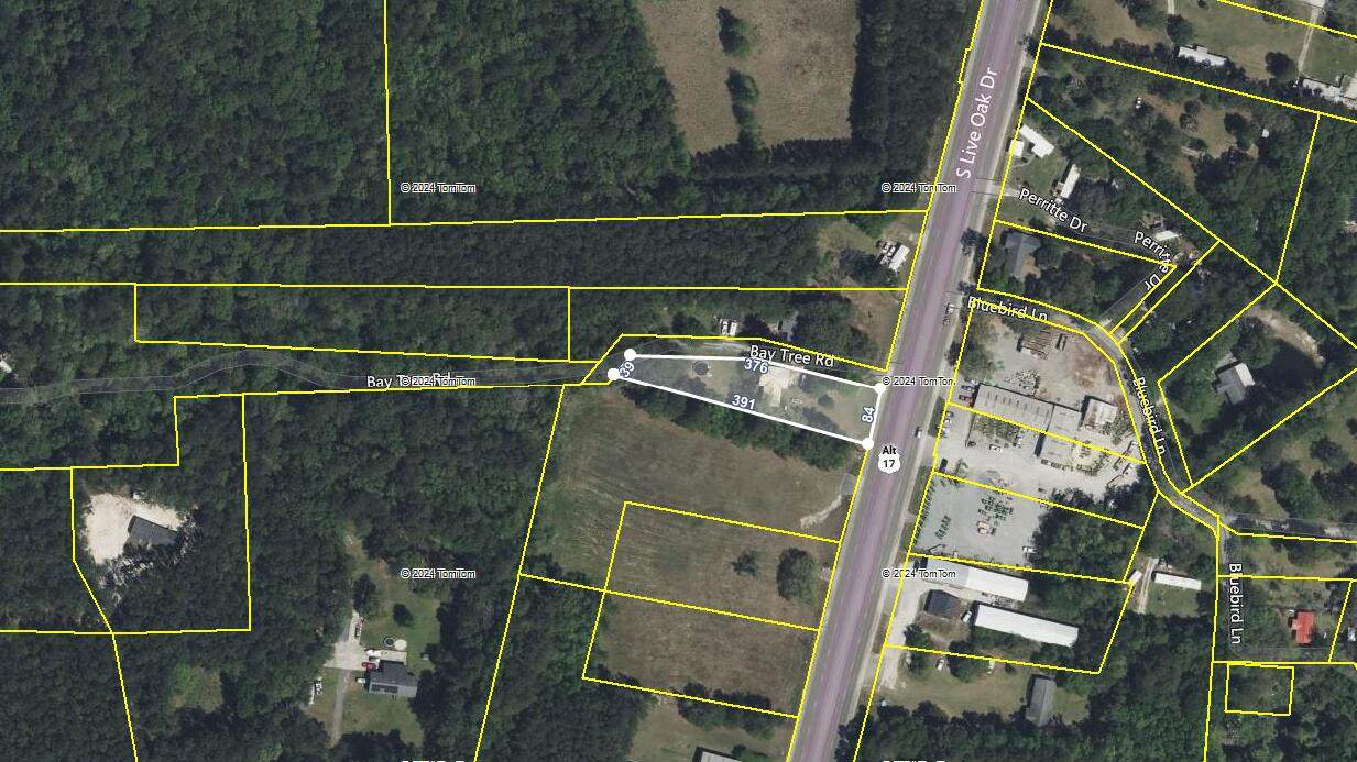 2063 Live Oak Drive - Photo 1