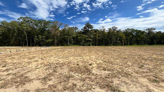 450 Tulip Poplar Drive - Photo 1