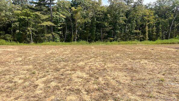 452 Tulip Poplar Drive - Photo 1