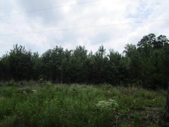 7905 Morris Bing Road - Photo 1